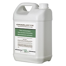 Crème lavante économique pour les mains CHARLOTTE